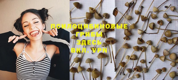 дурь Алексеевка