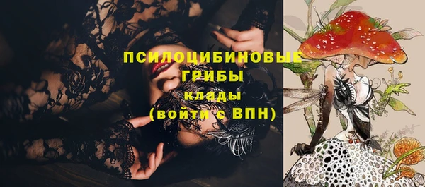 дурь Алексеевка