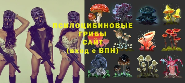 гидра Алексин