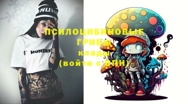 винт Алзамай