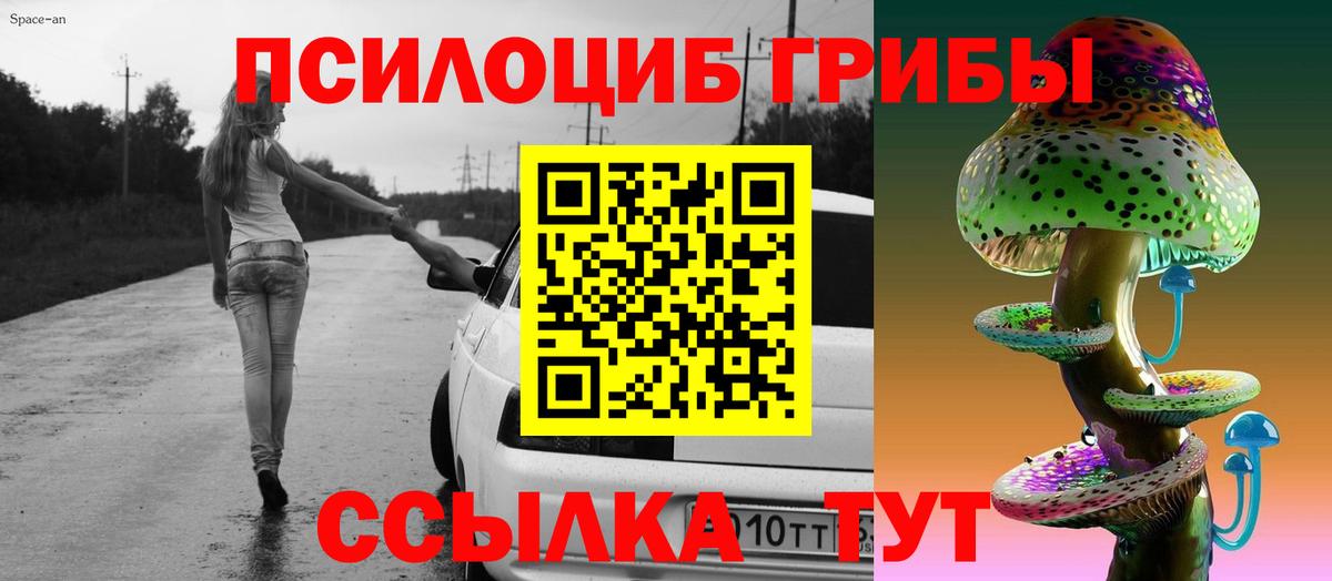 Галлюциногенные грибы Magic Shrooms  где купить наркотик  Вход с VPN  Краснотурьинск  Галлюциногенные грибы мухоморы 